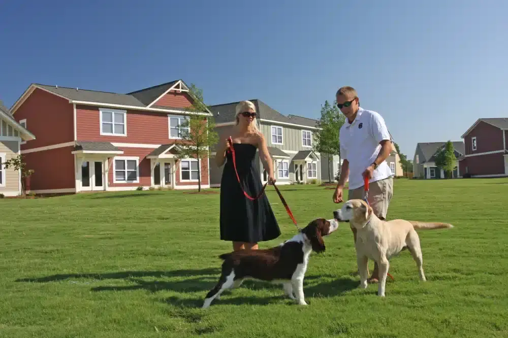 garnet crossing apartments near university of south carolina greenspace pet friendly