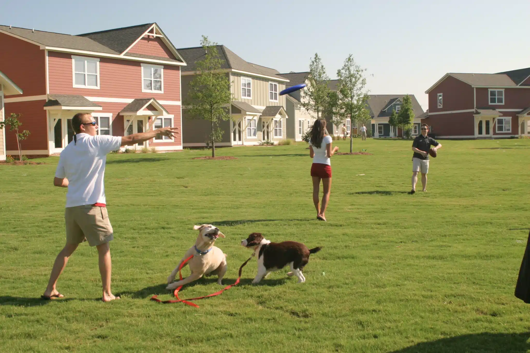 garnet crossing apartments near university of south carolina outdoor greenspace pet friendly